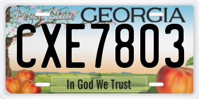 GA license plate CXE7803