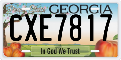 GA license plate CXE7817