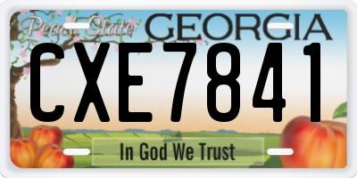 GA license plate CXE7841