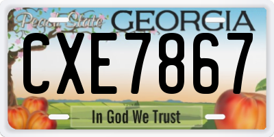 GA license plate CXE7867