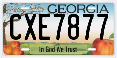 GA license plate CXE7877