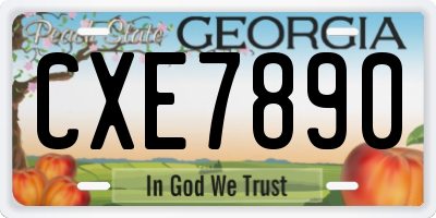 GA license plate CXE7890
