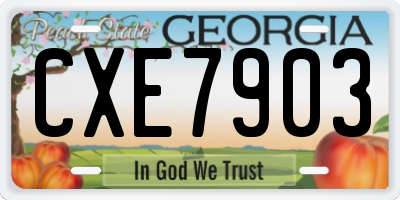 GA license plate CXE7903