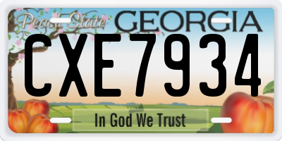 GA license plate CXE7934