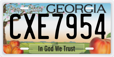GA license plate CXE7954