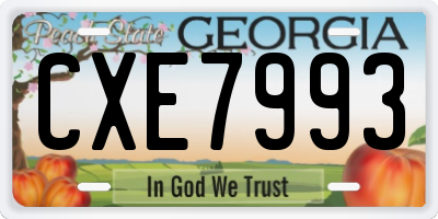 GA license plate CXE7993