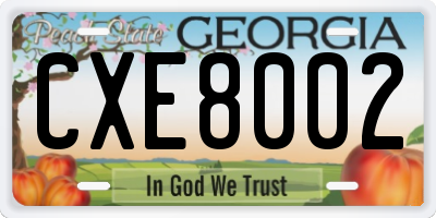 GA license plate CXE8002