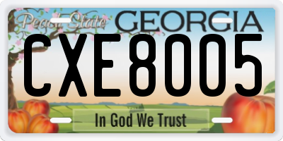 GA license plate CXE8005