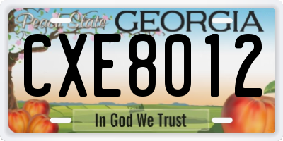 GA license plate CXE8012