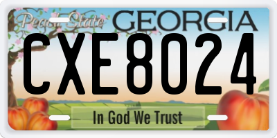 GA license plate CXE8024