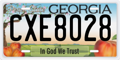 GA license plate CXE8028