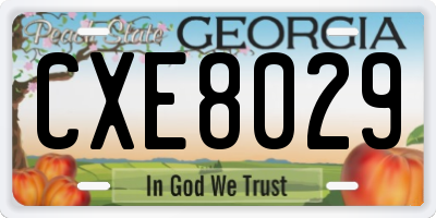GA license plate CXE8029