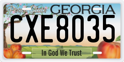 GA license plate CXE8035