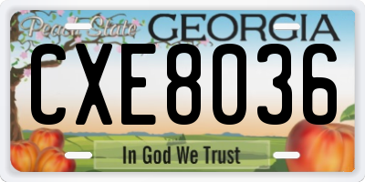 GA license plate CXE8036