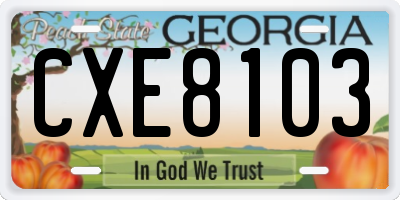 GA license plate CXE8103