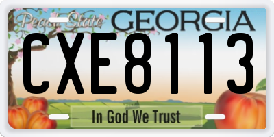 GA license plate CXE8113