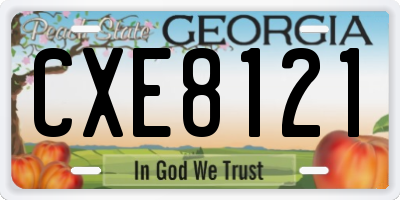 GA license plate CXE8121