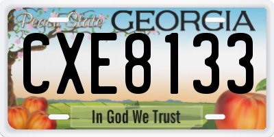 GA license plate CXE8133