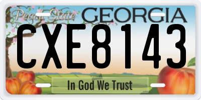 GA license plate CXE8143