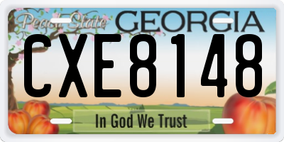 GA license plate CXE8148