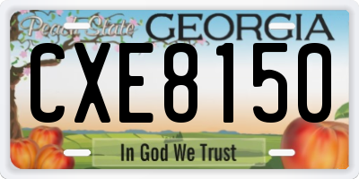 GA license plate CXE8150