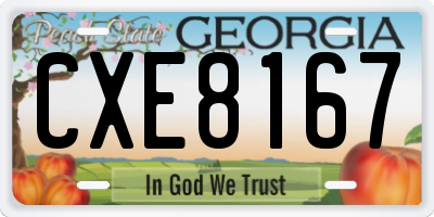 GA license plate CXE8167