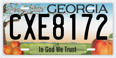 GA license plate CXE8172