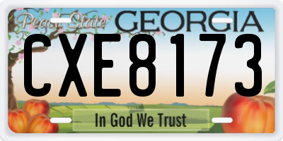 GA license plate CXE8173