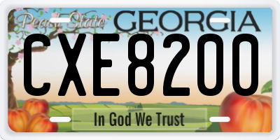 GA license plate CXE8200
