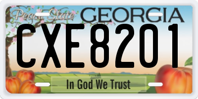 GA license plate CXE8201