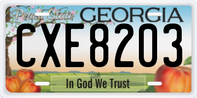 GA license plate CXE8203