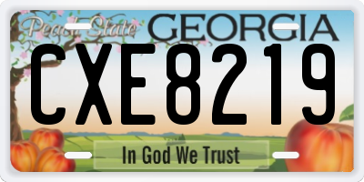 GA license plate CXE8219