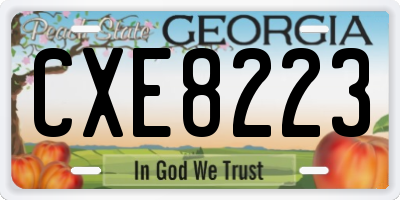 GA license plate CXE8223