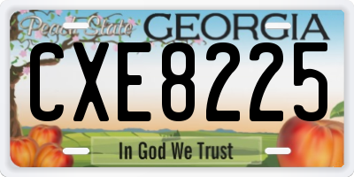 GA license plate CXE8225