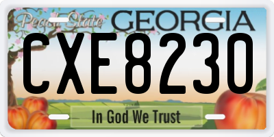 GA license plate CXE8230