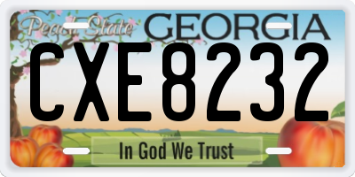 GA license plate CXE8232
