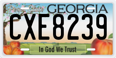GA license plate CXE8239