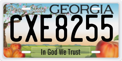 GA license plate CXE8255