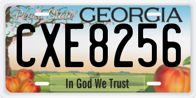GA license plate CXE8256