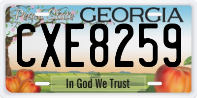 GA license plate CXE8259