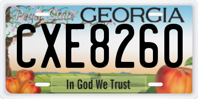 GA license plate CXE8260
