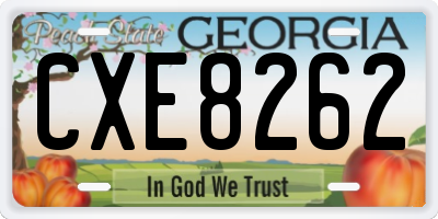 GA license plate CXE8262