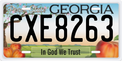 GA license plate CXE8263