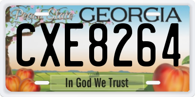 GA license plate CXE8264