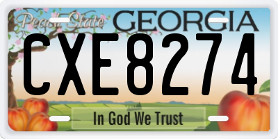 GA license plate CXE8274