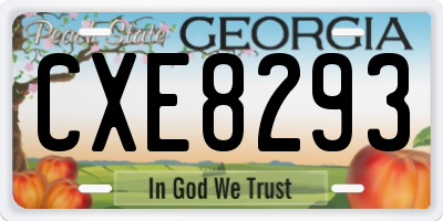 GA license plate CXE8293