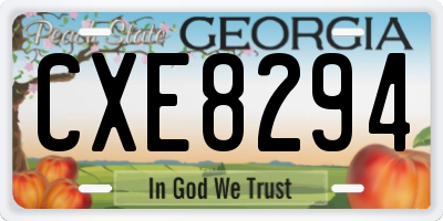 GA license plate CXE8294