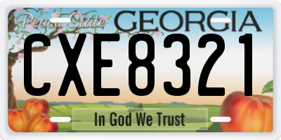 GA license plate CXE8321
