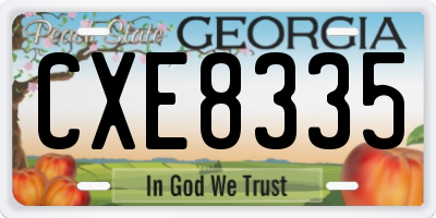 GA license plate CXE8335
