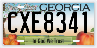 GA license plate CXE8341